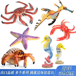 仿真海洋动物模型套装海马草海龙寄居蟹海星鹦鹉螺儿童玩具摆件