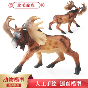 实心仿真野生动物模型驼鹿驯鹿麋鹿角鹿儿童认知玩具装饰摆件礼物