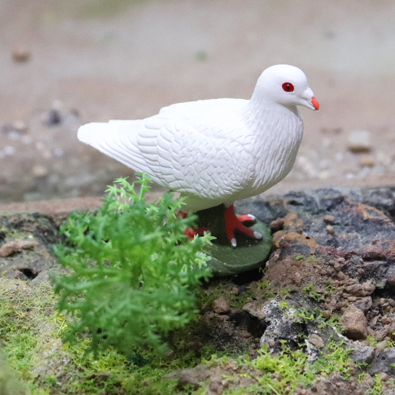 仿真实心鸽子老鹰喜鹊认知模型