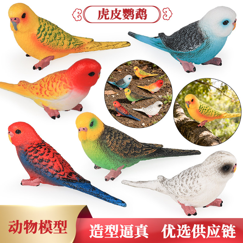 仿真实心鸟类飞禽动物模型虎皮金刚鹦鹉儿童认知玩具桌面摆件礼物