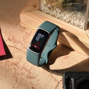 Fitbit Charge5智能手环提醒蓝牙血氧心率睡眠监测运动美国直邮