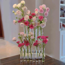 新款高颜值家居玻璃网红ins水培花器透明一排试管花瓶鲜花摆件