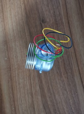 SELCO S6100.0010 SL/S 模块