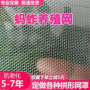 养殖蚂蚱专用网纱网布蝗虫窗纱整卷马蜂蜜蜂加厚防虫网罩包邮