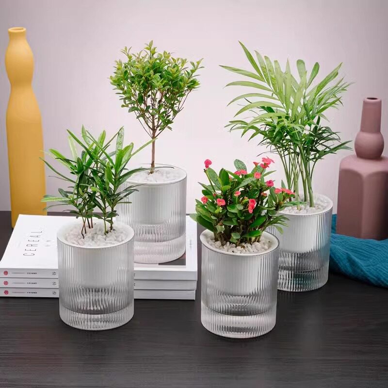 懒人花盆自动吸水塑料加仑盆水培创意绿萝自吸水大号小盆栽免浇水