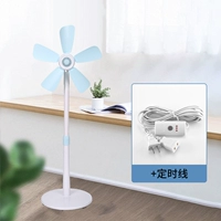 Blue Flip Fan+Time Line