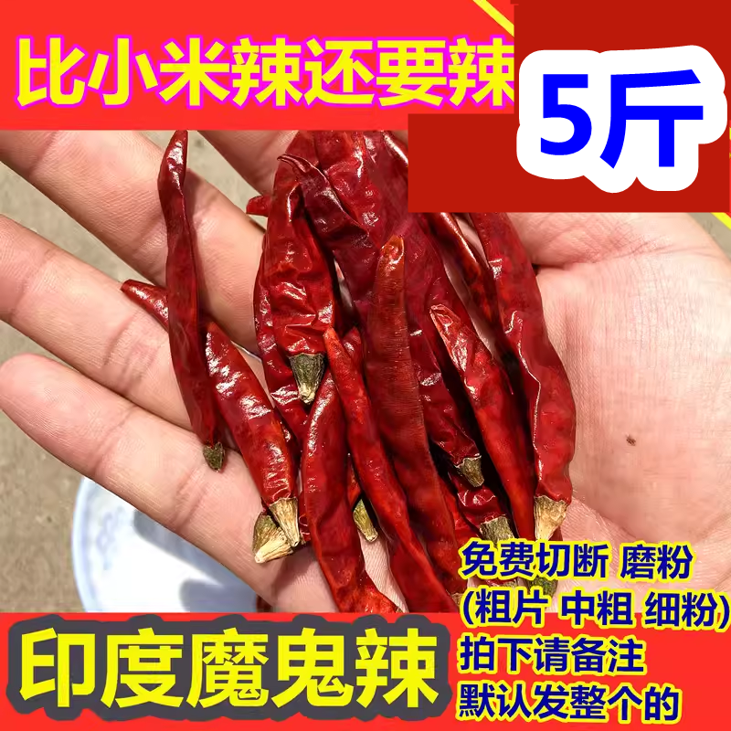 超辣 特辣印度魔鬼椒朝天椒变态辣死神断魂辣椒王可加工粉面段5斤