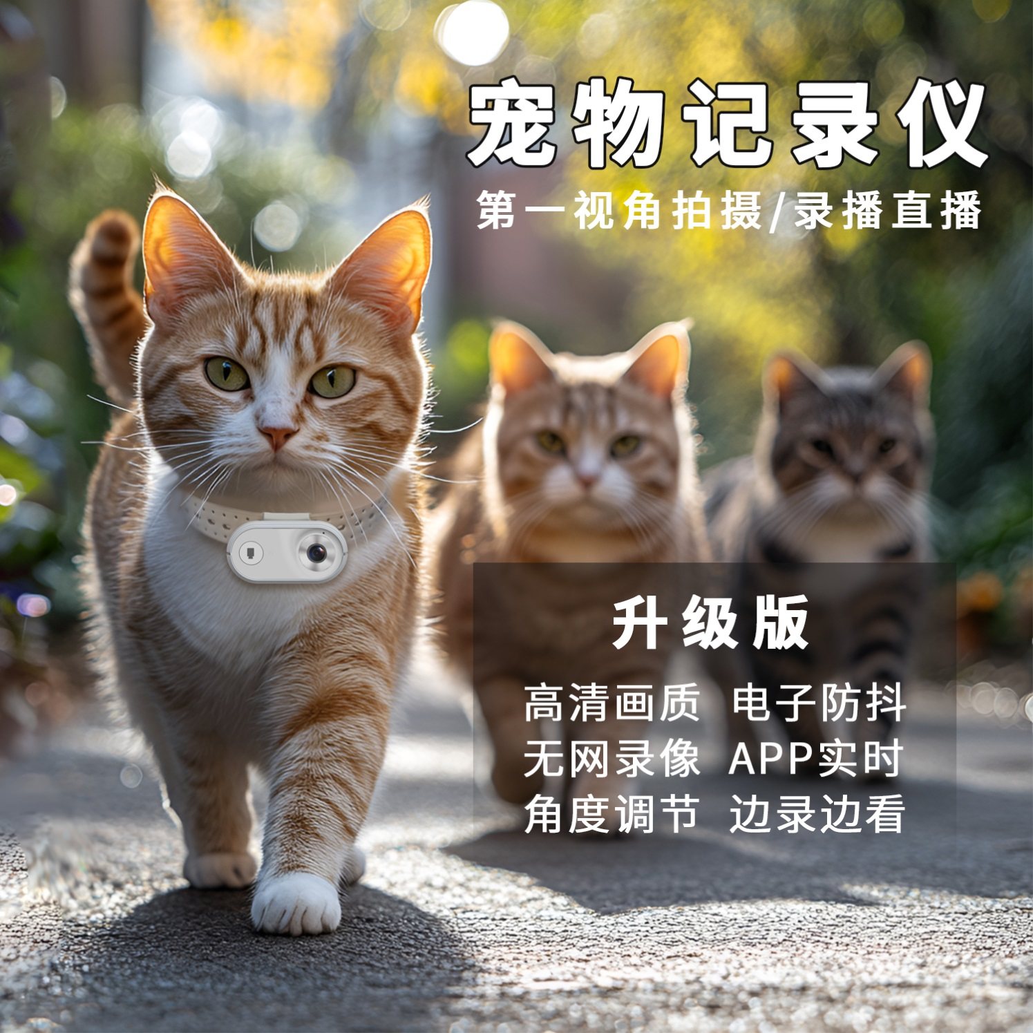 宠物猫咪狗狗第一视角相机挂脖摄像头监控记录仪项圈录播拍摄设备