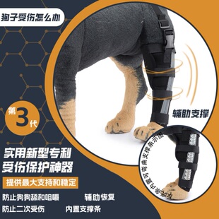 狗狗髌骨脱位固定带腿部护具术后骨折辅助支撑器关节十字韧带支具
