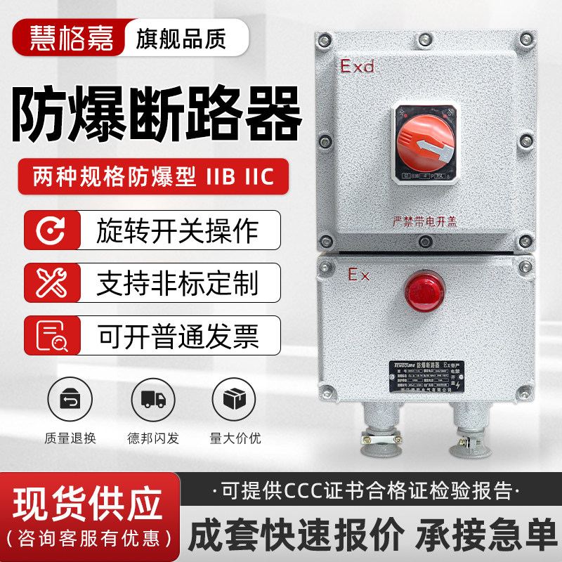 BDZ52防爆断路器三相380V220V铸铝开关箱16A20A32A照明动力配电箱