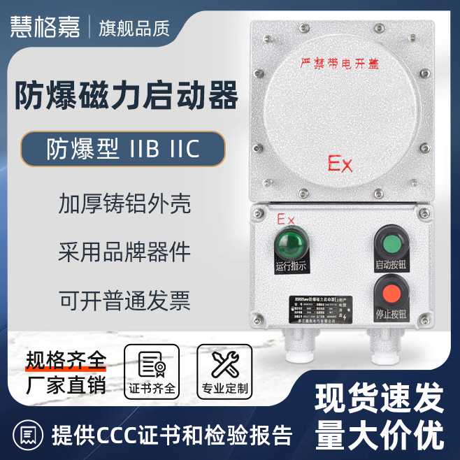 iic防爆电机水泵磁力启动器