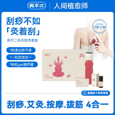 真不二砭石艾灸棒家用艾灸仪