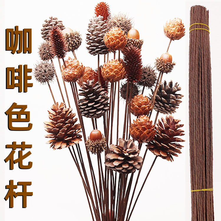 手工花杆diy松果莲蓬杆插花铁丝杆棉花路路通干花仿真铁杆咖啡色,鲜花速递/花卉仿真/绿植园艺,花艺材料,淘宝优惠券,粉丝福利购,淘宝优惠卷