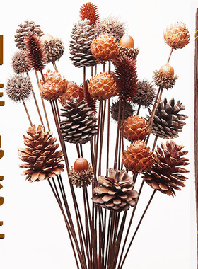 手工花杆diy松果莲蓬杆插花铁丝杆棉花路路通干花仿真铁杆咖啡色