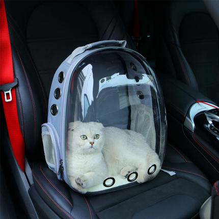 猫包透明外出包便携猫笼宠物背包太空包双肩猫咪背包宠物用品书包