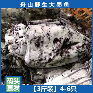 舟山新鲜墨鱼 大 鲜活海鲜水产墨斗鱼深海目鱼八爪鱼小墨鱼乌贼