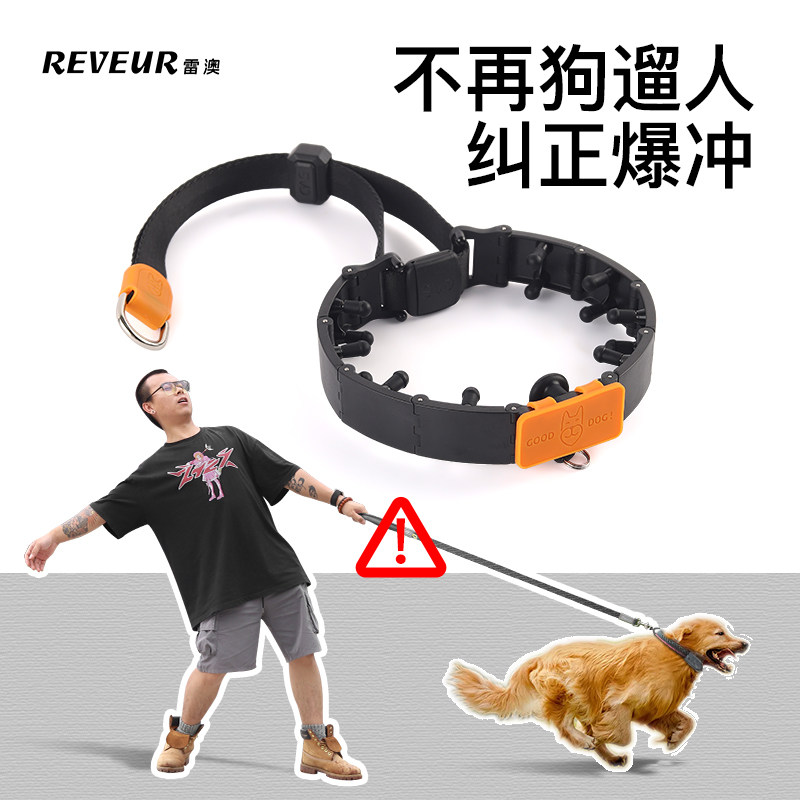 刺钉项圈防爆冲训犬大型犬金毛拉布拉多马犬专用牵引绳宠物脖圈颈