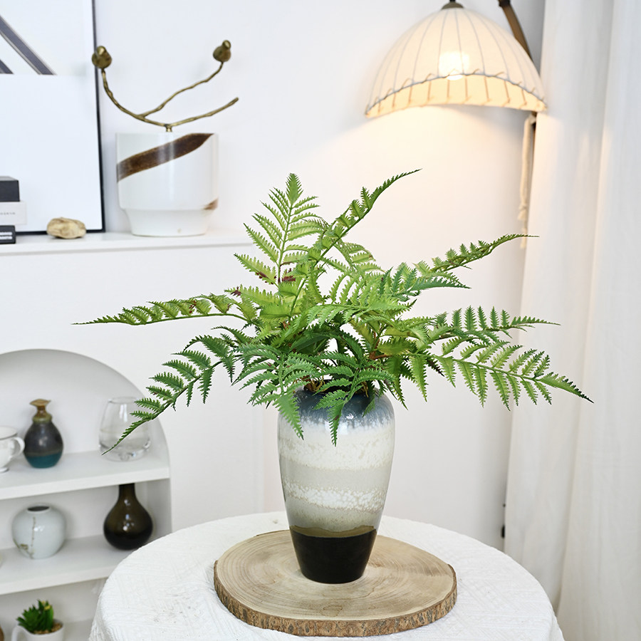 仿真绿植八头铁角蕨叶室内装饰餐桌摆件办公室背景墙蕨类花箱假草,鲜花速递/花卉仿真/绿植园艺,仿真绿植,淘宝优惠券,粉丝福利购,淘宝优惠卷