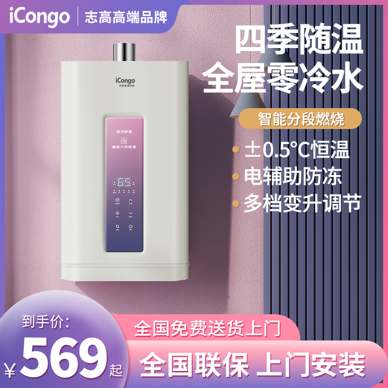 志高燃气热水器天燃气家用12L13L
