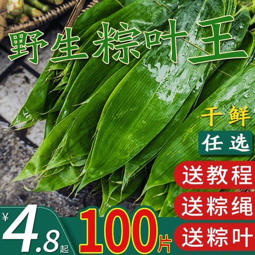 商用新鲜免邮大号材料粽叶