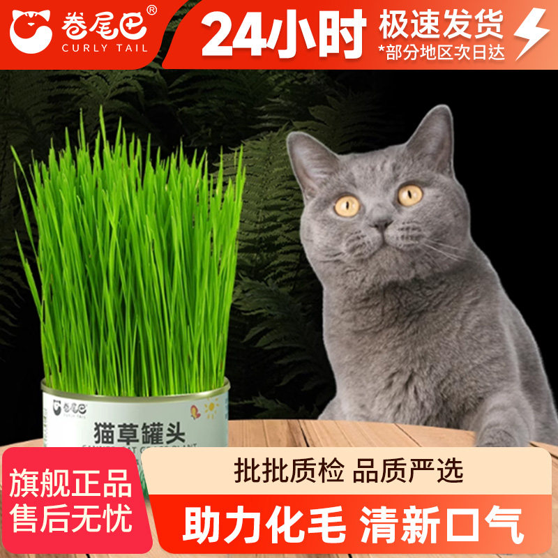 猫草水培盒盆栽牧场去化毛球片小麦黑麦懒人猫薄荷零食猫咪用品,宠物/宠物食品及用品,猫零食罐,淘宝优惠券,粉丝福利购,淘宝优惠卷