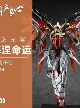 闽柔国产良心现货高高HG海涅命运送光翼支架强袭自由扎古异端元祖