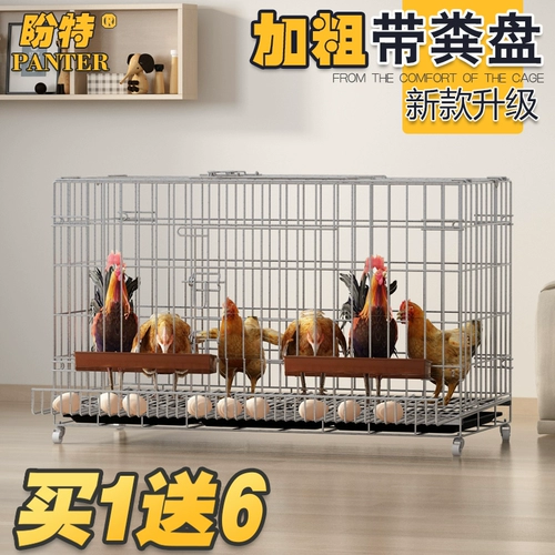 Куриная клетка домашнее размножение на открытом воздухе.