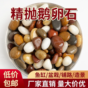 纯天然鹅卵石雨花石原石高抛光五彩石头装饰铺地鱼缸园艺水培庭院