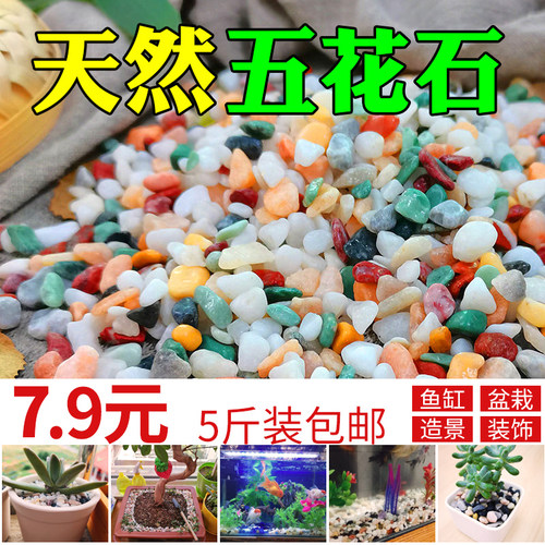 天然雨花石五彩石花盆鱼缸造景石
