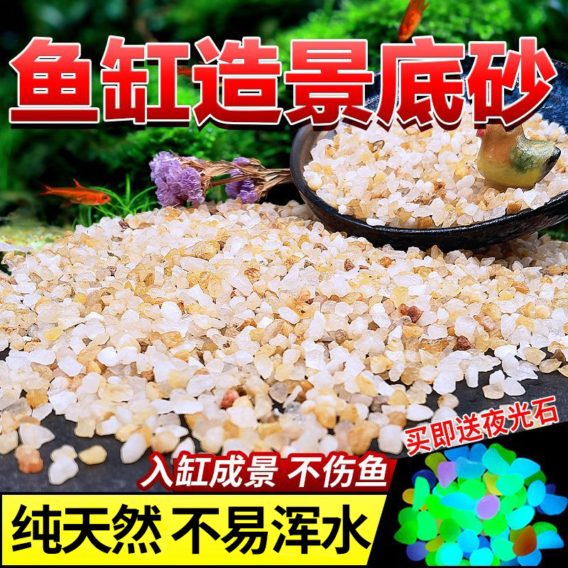 天然水晶沙河沙鱼缸底砂多肉铺面