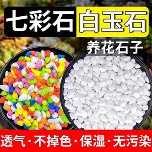 环氧七彩石造景多肉铺面白玉石花盆装饰盆栽防虫透气水培用鹅卵石