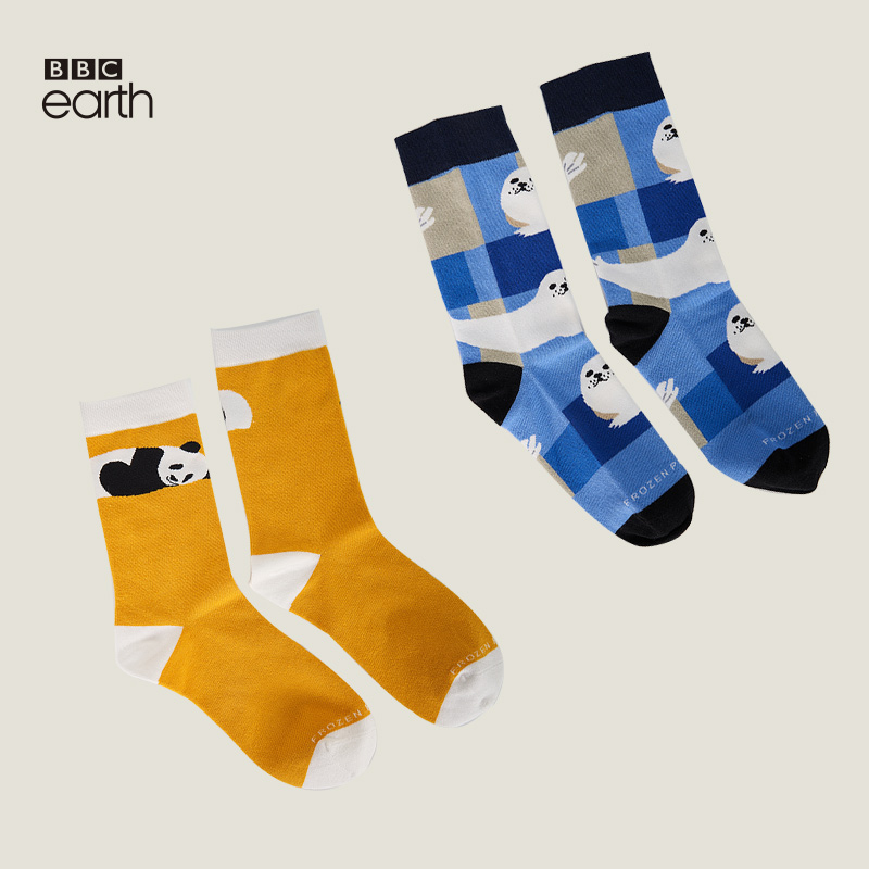 BBC Earth萌趣卡通熊猫情侣款棉袜长袜生日礼物送女生