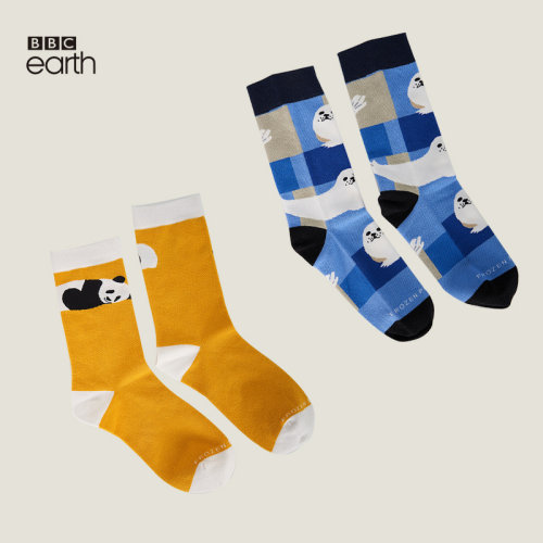 BBC Earth萌趣卡通熊猫情侣款棉袜长袜生日礼物送女生