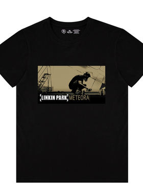 WRATHAPE瑞斯普林肯公园t恤男女Linkin Park摇滚美式vintage短袖