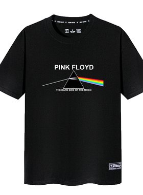 Pink Floyd平克弗洛伊德衣服vintage摇滚乐队短袖T恤男女月之暗面