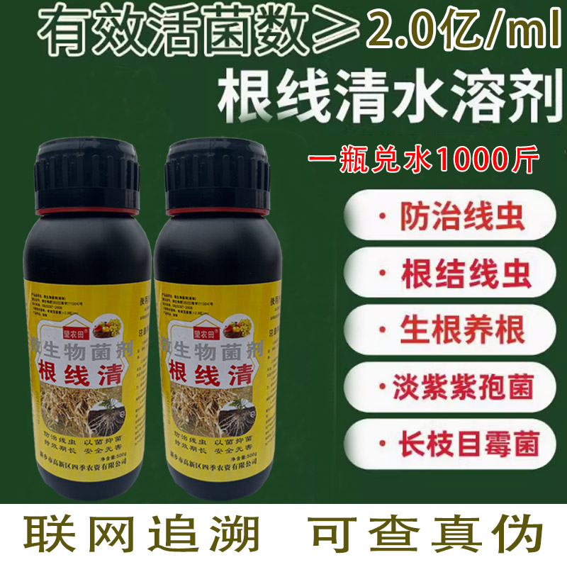 根线清根结线虫专用药淡紫拟青霉紫孢菌生姜黄瓜烟叶辣椒虫卵防治