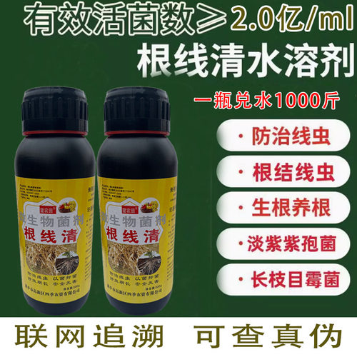 根线清根结线虫专用药淡紫拟青霉紫孢菌生姜黄瓜烟叶辣椒虫卵防治