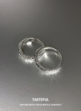 爆款星河闪砂耳环女小众设计感耳钉日韩高级耳圈秋冬复古耳扣耳饰