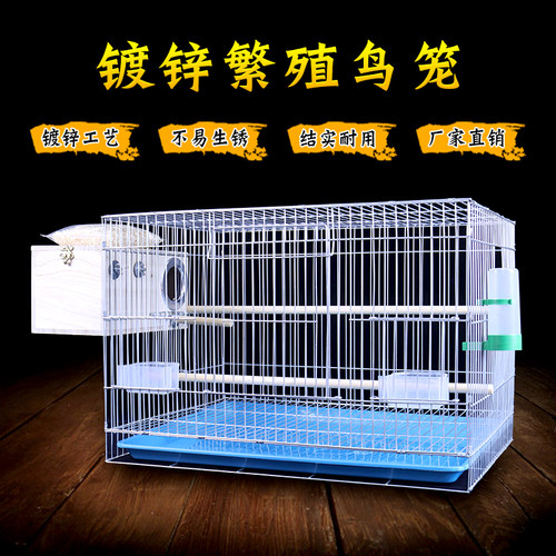 防生锈镀锌鹦鹉虎皮牡丹繁殖鸟笼