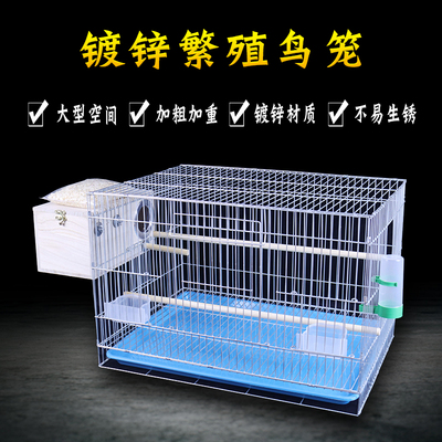 镀锌大型虎皮牡丹鹦鹉繁殖鸟笼子