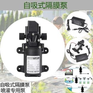 12V60W自动灌溉增压泵隔膜泵自吸水泵自动启停大功率12v高压水泵
