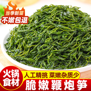 鞭炮笋长寿菜凉拌菜海草藻菜火锅食材鞭泡笋盐渍马尾藻羊栖菜商用