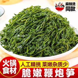 新鲜鞭炮笋盐渍炮鞭笋马尾藻海藻菜长寿菜火锅食材麻辣烫商用批发