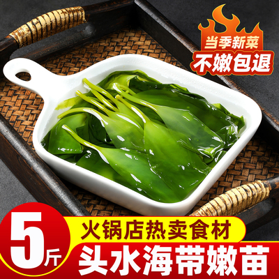 薄盐保鲜头水海带嫩苗火锅食材