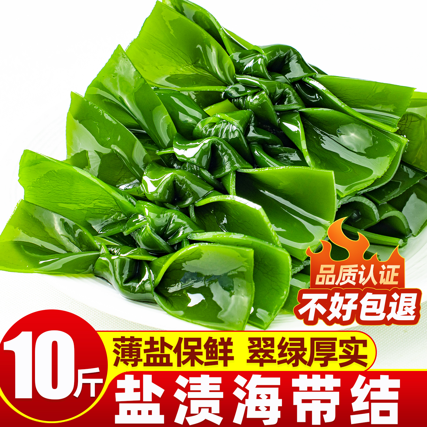 霞浦新鲜盐渍海带结商用批发