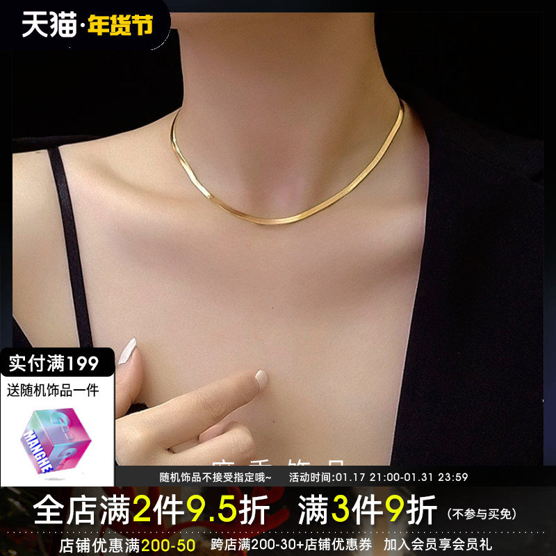 麻秀镀18K金不掉色项链女锁骨链简约 气质蛇骨链项圈颈带脖子饰品