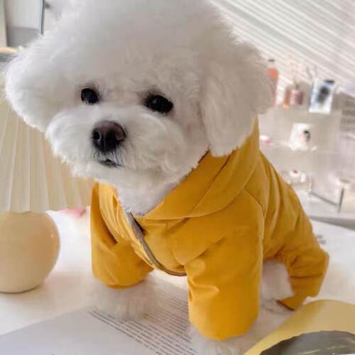 狗狗猫咪衣服四脚小型犬