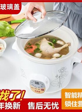 全自动电炖锅煲汤锅熬煮