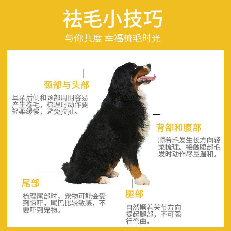 狗梳子大型犬柯基法斗短