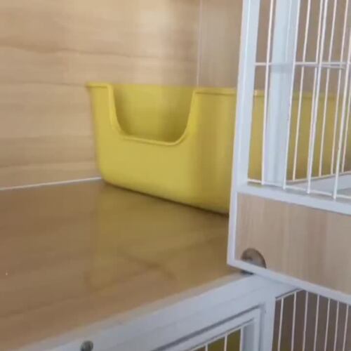 猫砂盆超大号加高半封闭